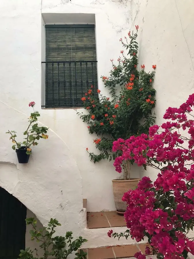Casa De Arquitecto Appartamento Vejer de la Frontera Spagna